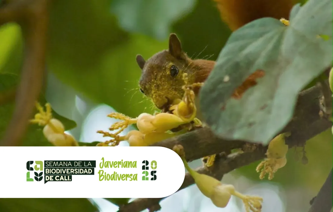Javeriana Biodiversa 2025